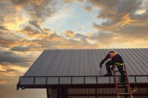 Professional roofing companies