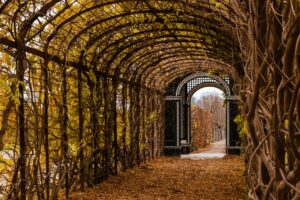 Snug Harbor Cultural Center & Botanical Garden