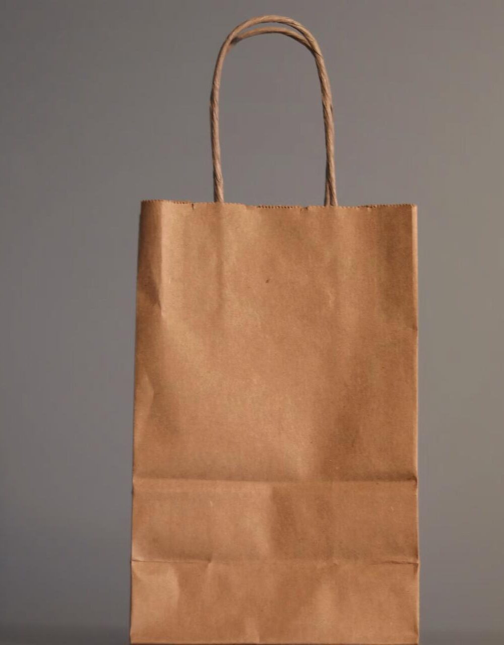 twisted handle paper bags