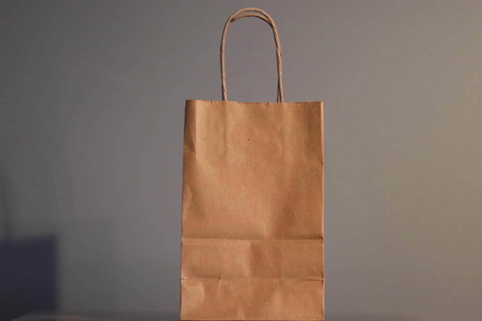 twisted handle paper bags